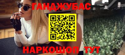 хмурый Шелехов