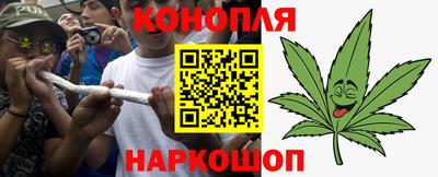 хмурый Шелехов